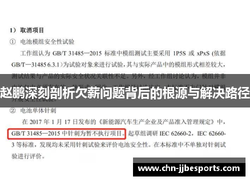 赵鹏深刻剖析欠薪问题背后的根源与解决路径