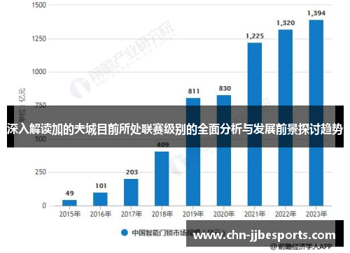 深入解读加的夫城目前所处联赛级别的全面分析与发展前景探讨趋势