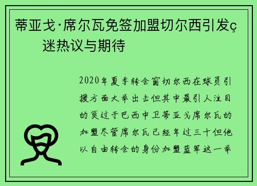 蒂亚戈·席尔瓦免签加盟切尔西引发球迷热议与期待