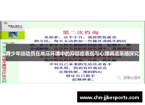 青少年运动员在高压环境中的抑郁症表现与心理调适策略探究