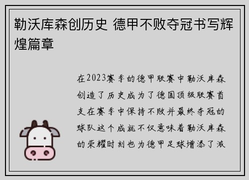 勒沃库森创历史 德甲不败夺冠书写辉煌篇章
